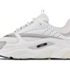 Dior B22 'White Grey'