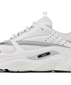 Dior B22 'White Grey'